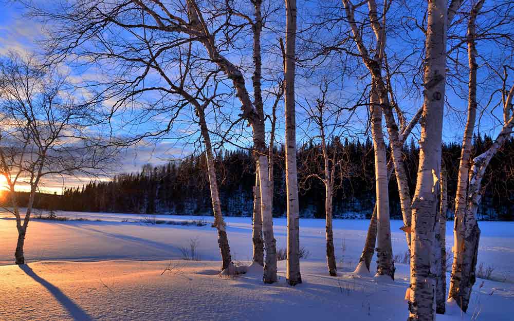 PAYSAGE HIVER QUEBEC CANADA