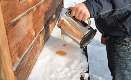 Sirop d'érable québec