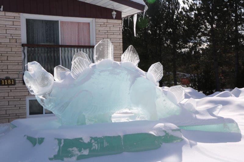 festival St Côme en glace 2017-québec 29