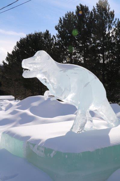 festival St Côme en glace 2017-québec 30