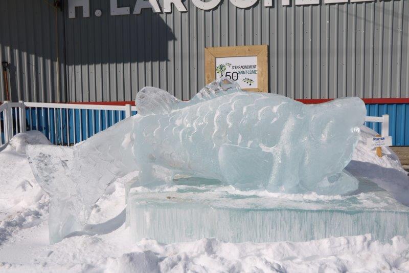 festival St Côme en glace 2017-québec 67