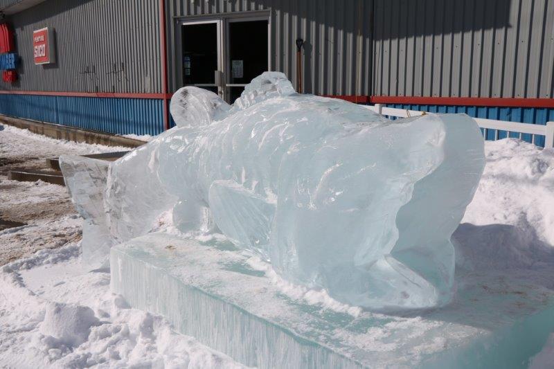 festival St Côme en glace 2017-québec 68