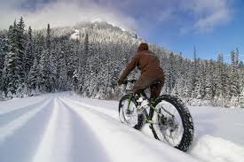 fatbike